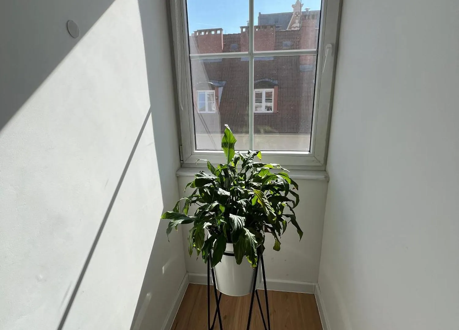 Modern Apartment 46M2 Ac 100M From Stary Rynek City Center Kramarska 21 ポズナン ポーランド