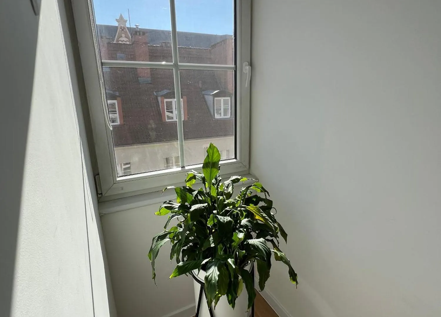 Modern Apartment 46M2 Ac 100M From Stary Rynek City Center Kramarska 21 ポズナン